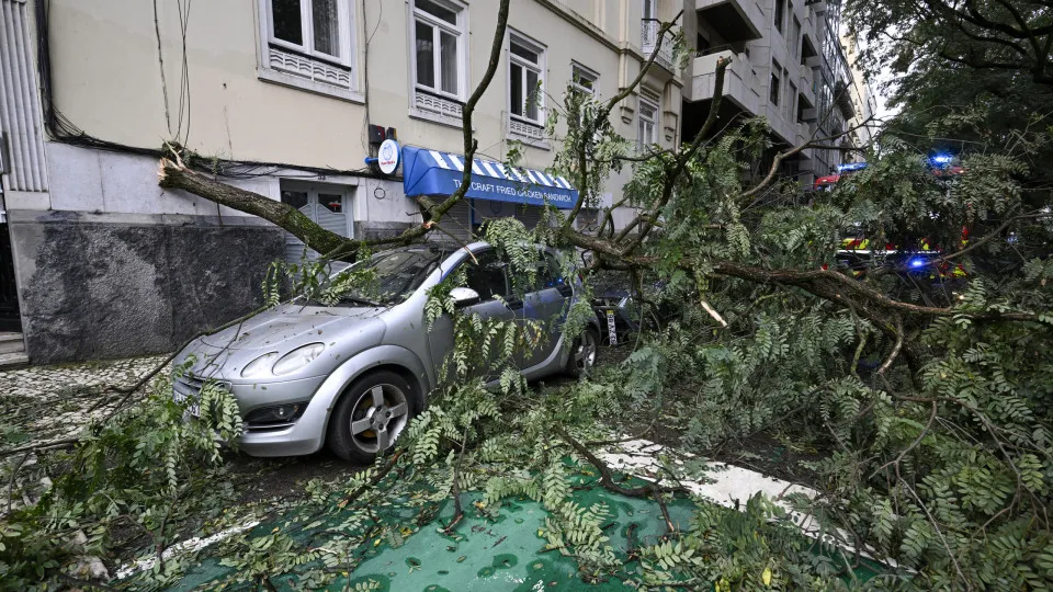 “Impacto muito grande”. Reposição de luz “não acontecerá de uma vez só”