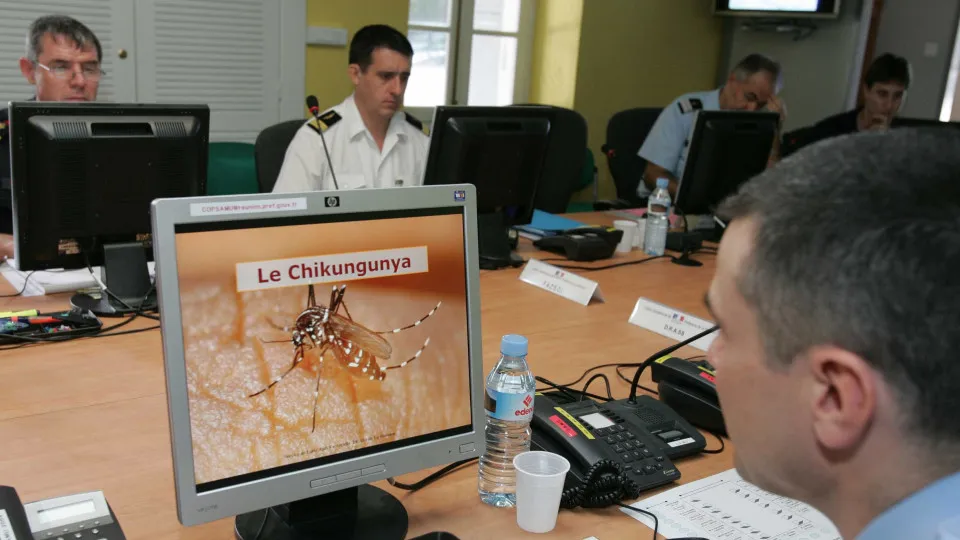 Portugal integra zona de maior risco de transmissão do vírus Chikungunya na Europa